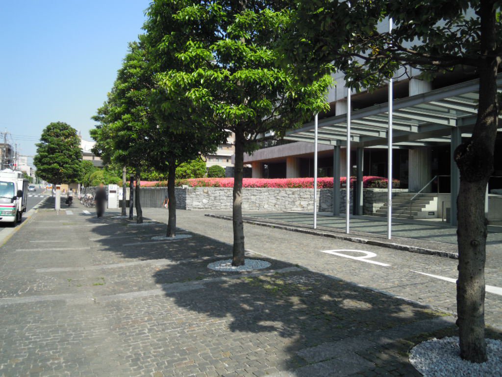 東京都現代美術館