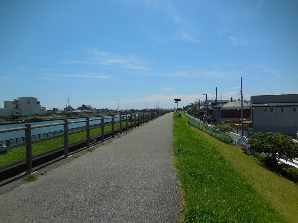 新中川の土手